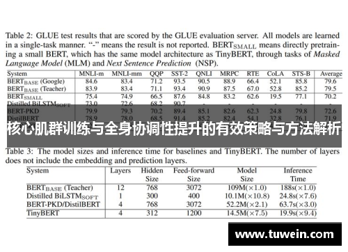 核心肌群训练与全身协调性提升的有效策略与方法解析