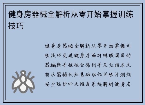 健身房器械全解析从零开始掌握训练技巧