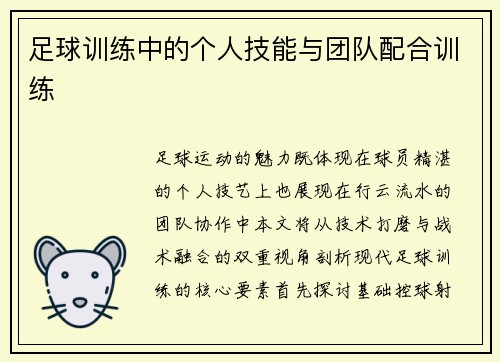 足球训练中的个人技能与团队配合训练