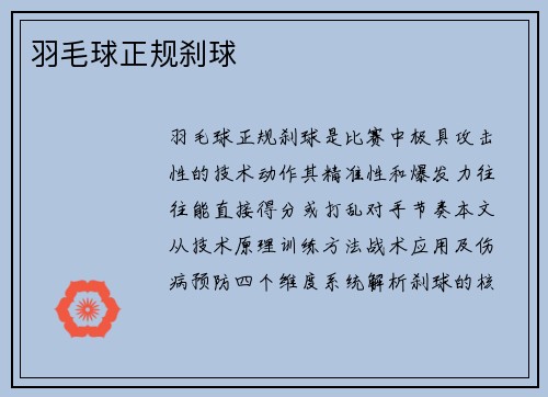 羽毛球正规刹球